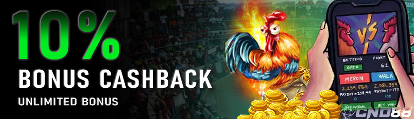 Promotion Bonus Cashback Sabung Ayam